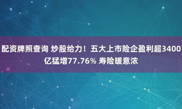配资牌照查询 炒股给力！五大上市险企盈利超3400亿猛增77.76% 寿险暖意浓